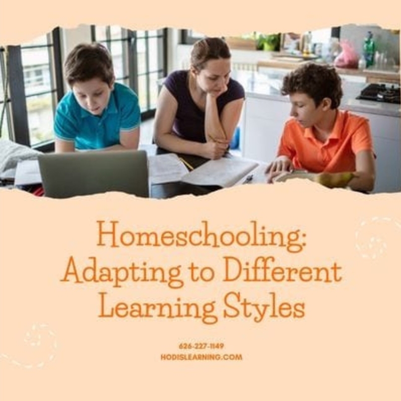 Homeschool Expertise: Adapting to Different Learning Styles